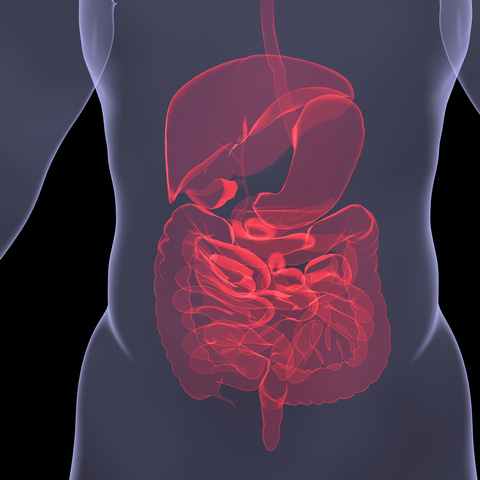 Complete Digestive Stool Analysis